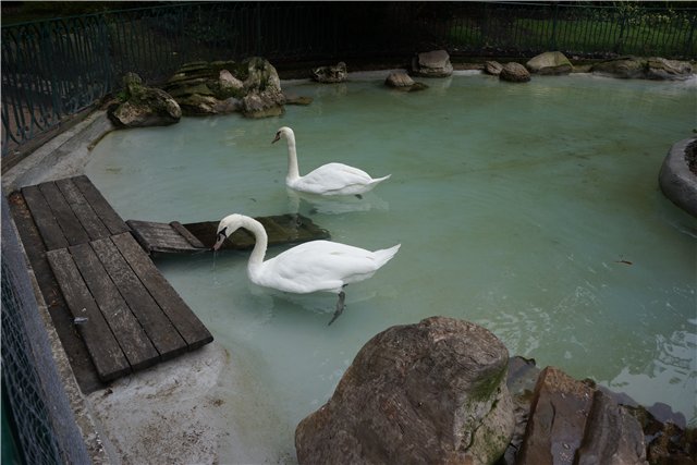 Испанский калейдоскоп. Часть 2-а. Мадлен (куколка Blythe) в Сан-Себастьяне. Непредсказуемость нашей жизни | Бэйбики Испанский калейдоскоп. Часть 2-а. Мадлен (куколка Blythe) в Сан-Себастьяне. Непредсказуемость нашей жизни