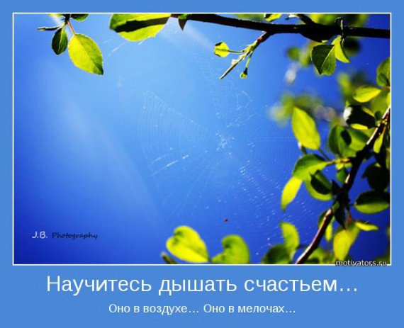 Для тех,кому сейчас грустно | Бэйбики Для тех,кому сейчас грустно (фото 2)