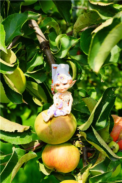 Цветочный эльф | Бэйбики Цветочный эльф — Куклы Fairyland (ФэйриЛэнд): BJD (БЖД) (фото 9)