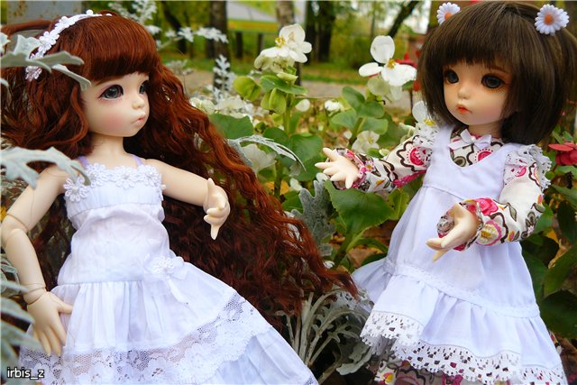 Вот так погуляли или Как у нас появилась кукла БЖД LittleFee Ante Elf