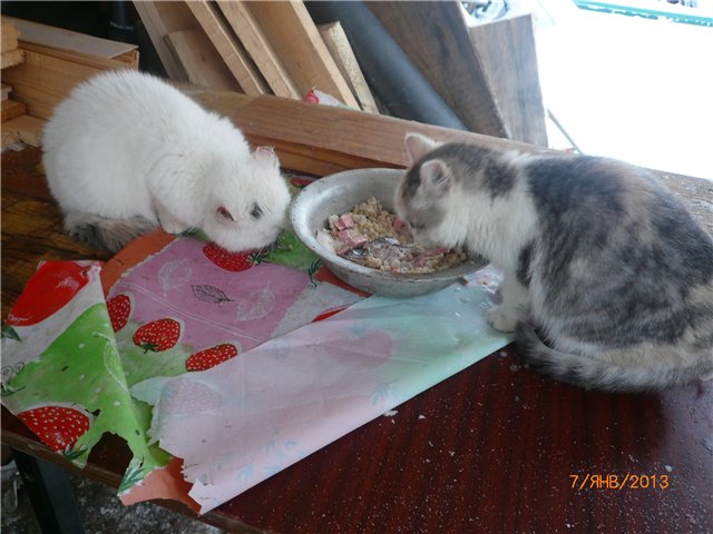 Кукла Света и Рождество — Советские винтажные куклы (СССР): Ленигрушка (фото 8)