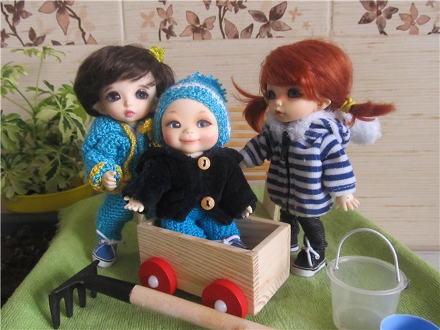 "Мастер-класс" по посадке огорода