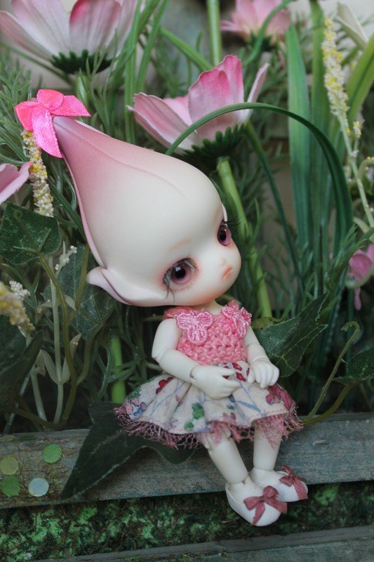 Последний Цветочек-Do, в моей Доллзоновской клумбе