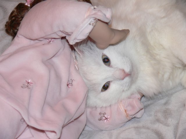 Интересно, кто кого больше любит (фото 9)