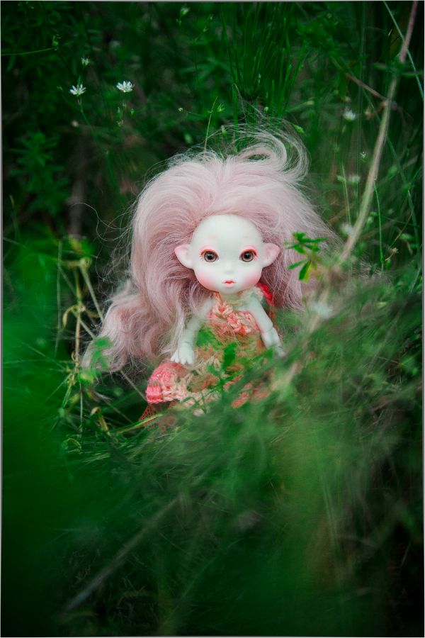 Немного лета на закате — Куклы Peaks Woods (Пиксвудс): BJD (БЖД) (фото 5)