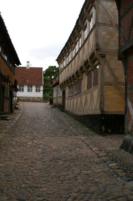 Den Gamle By - живая история Дании
