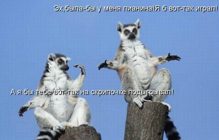 Море позитива) Для поднятия настроения (осторожно! много фото)))) | Бэйбики Море позитива) Для поднятия настроения (осторожно! много фото))))