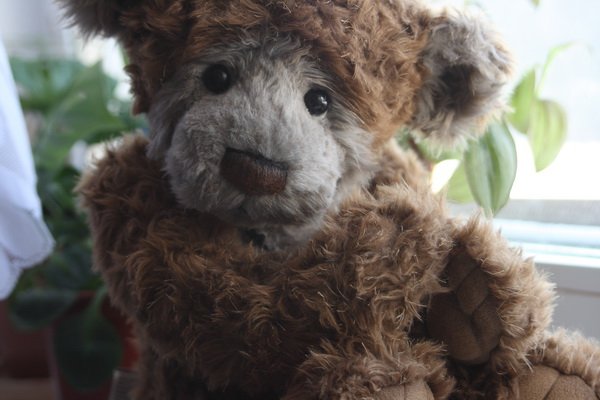 Мой Паркин (Parkin) от Charlie Bears (фото 5)