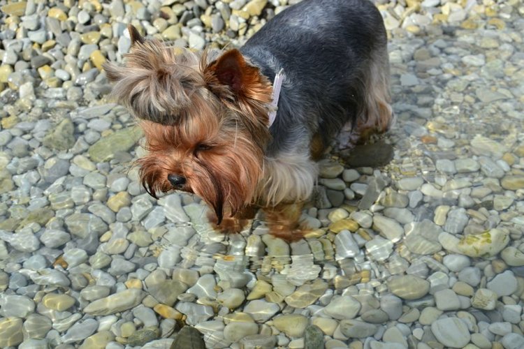 Осенние мотивы (любителям Юджин посвящается:)