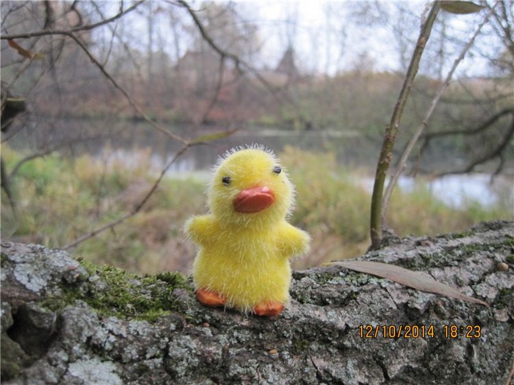 Дружок — Интересные игрушки и фигурки (разное): редкие