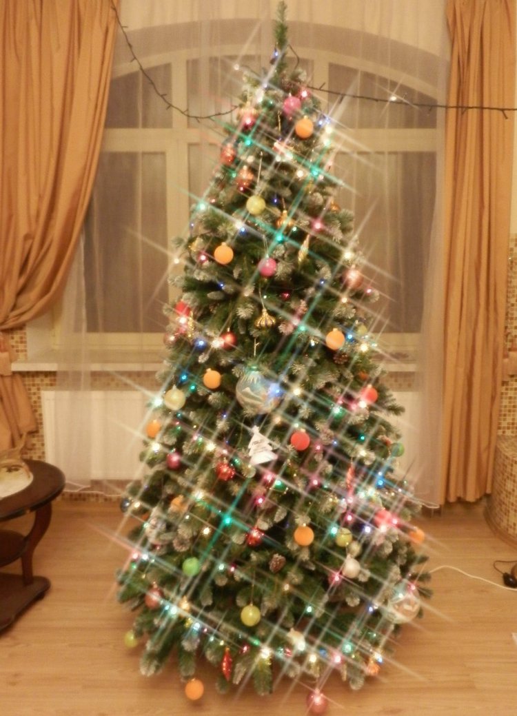 Откуда приходит Новый год