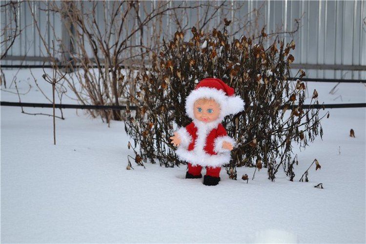 Веселая прогулка Пенни Санты- часть 1 (фото 2)