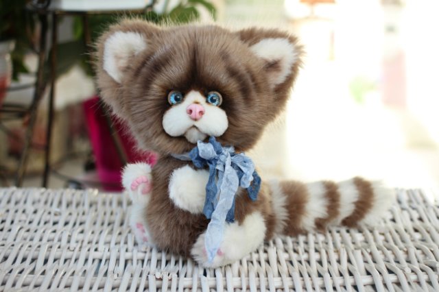 Голубоглазый котик-обормотик Мишка