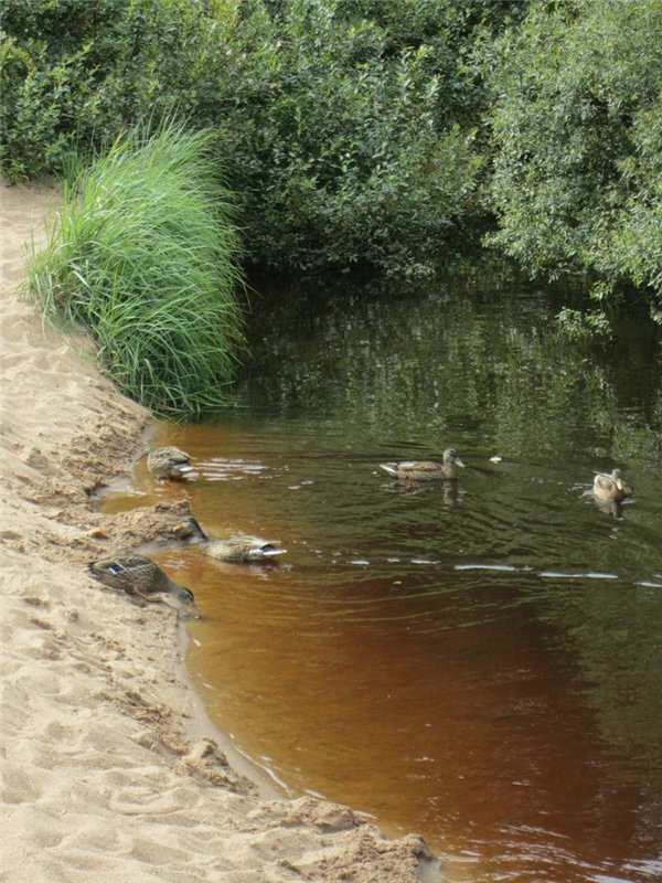 Назад в прошлое | Бэйбики Назад в прошлое — Болталка и разговоры обо всем: жизнь