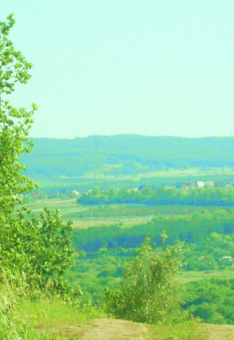 Ах, лето красное! Антикварная кукла Верочка (фото 5)