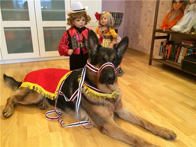 История любви, или К нам приехали цыгане