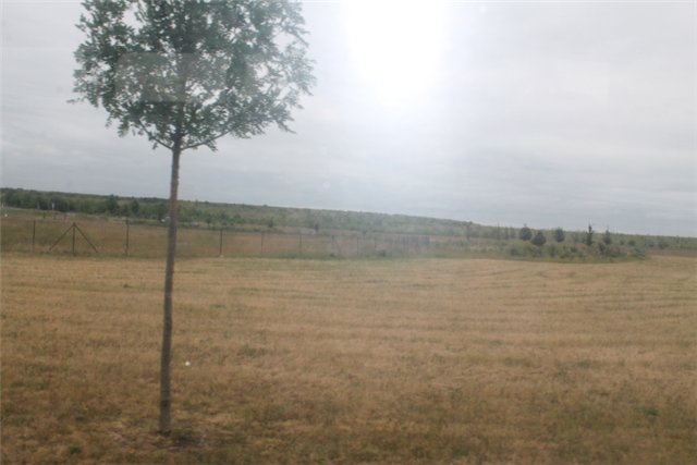 Сказка о моём бжд-мальчике по имени Мишель