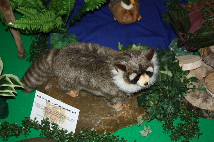 Выставка кукол, мишек тедди, кукольных домиков и миниатюры в Нидерландах 24-25 октября 2015 год. Четвертая часть | Бэйбики Выставка кукол, мишек тедди, кукольных домиков и миниатюры в Нидерландах 24-25 октября 2015 год. Четвертая часть