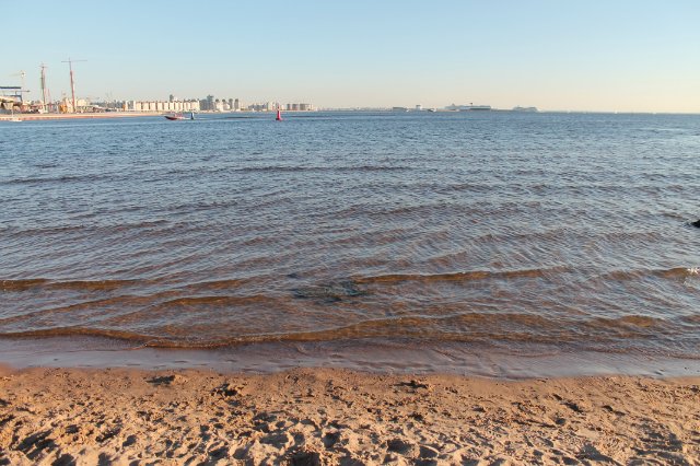 Парк 300-летия Петербурга. Летняя прогулка с Мишелем. Очень много фото