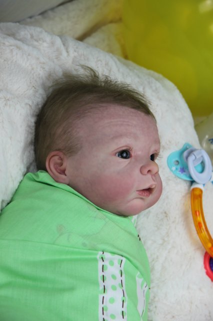 Софийкин! Кукленок реборн Виктории Вишни