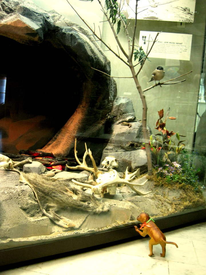 День в музее. Анжела в Государственном Дарвиновском музее