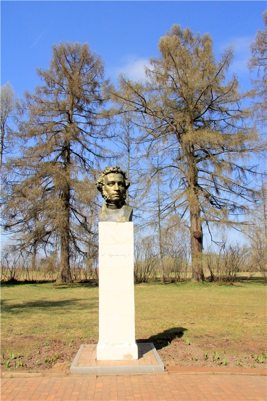 Берновская весна с Адель. Мини Джульетта от Sylvia Natterer