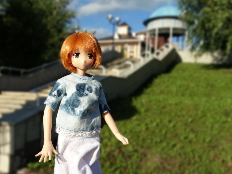 Путешествие с Азоночками Azone doll