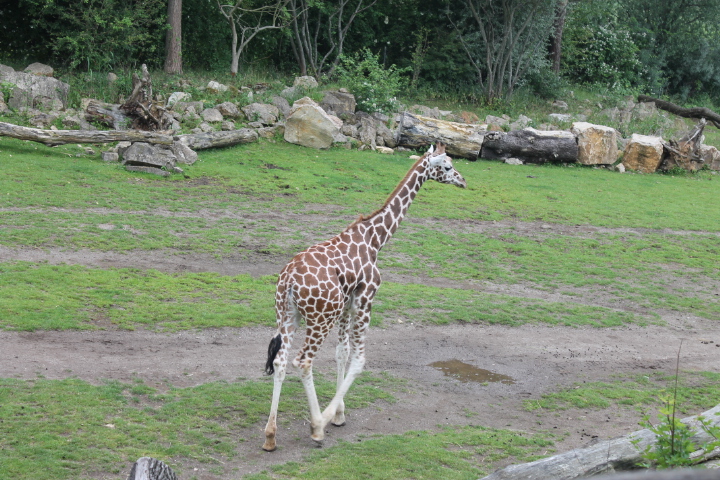 По Германии: зоопарк Лейпцига, часть 3