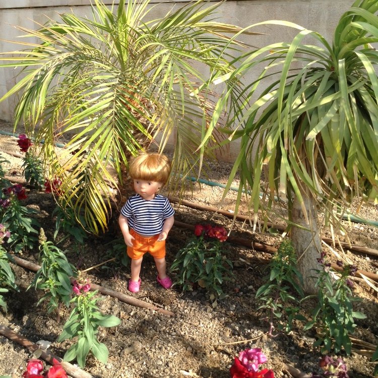 Белое солнце пустыни. Ч.1 Дорога к морю