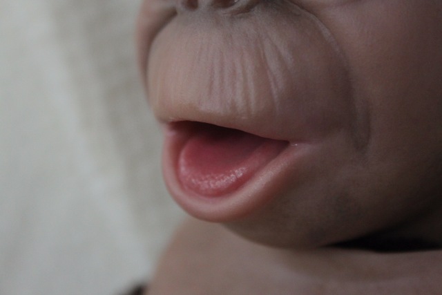 Карамелька кукла-реборн Элины Кудрявцевой