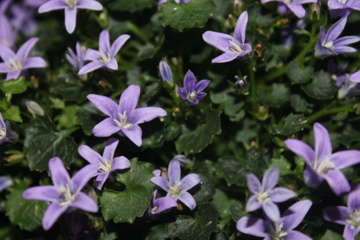 По Германии: весна в Лейпциге