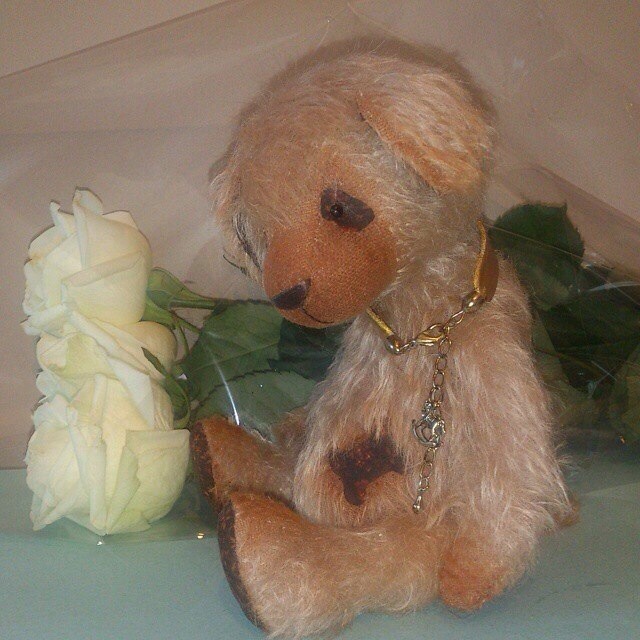 Teddy щенок Валентин. Игрушки ручной работы (фото 2)