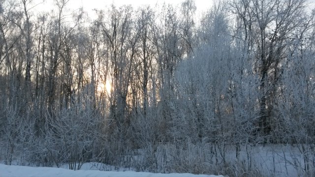 Зимние каникулы.Annecke, Ethan, Trixi от Monika Levenig и Millie от Monika Peter-Leicht