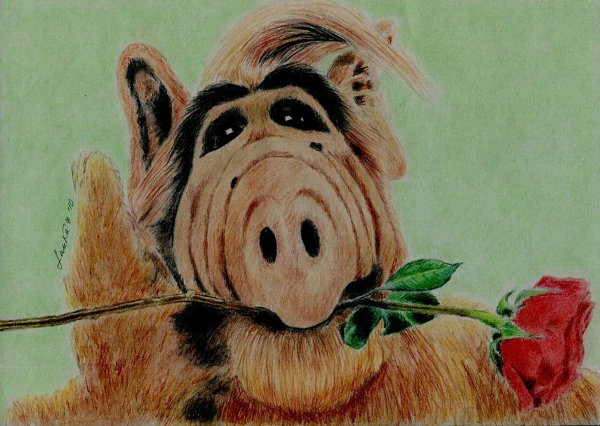 А ещё я немножечко рисую…