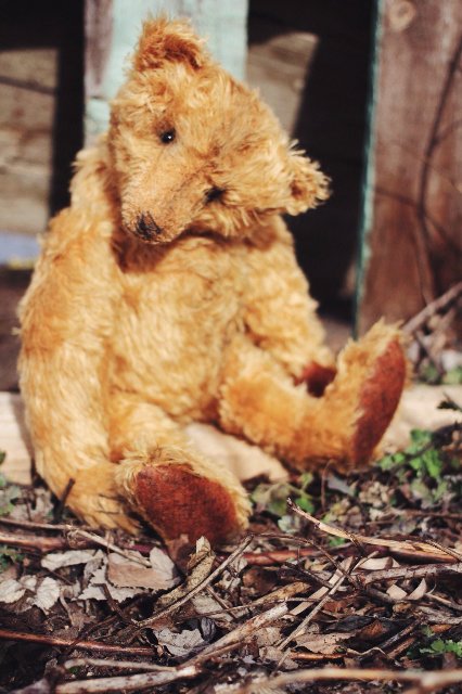 Старый забытый друг | Бэйбики Старый забытый друг — Авторские мишки Тедди и друзья: фото (фото 7)