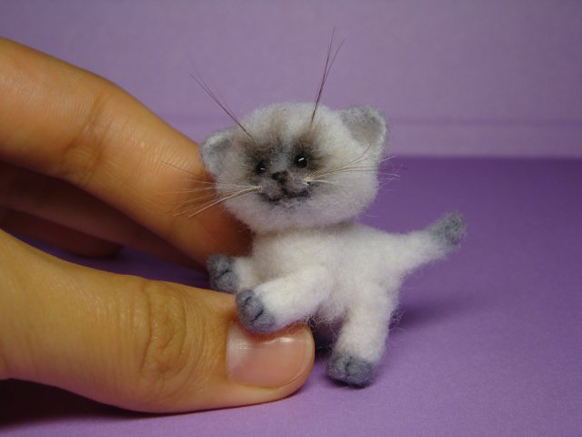 Котик. Авторская игрушка валянием из шерсти Ольги Чернухо (фото 7)