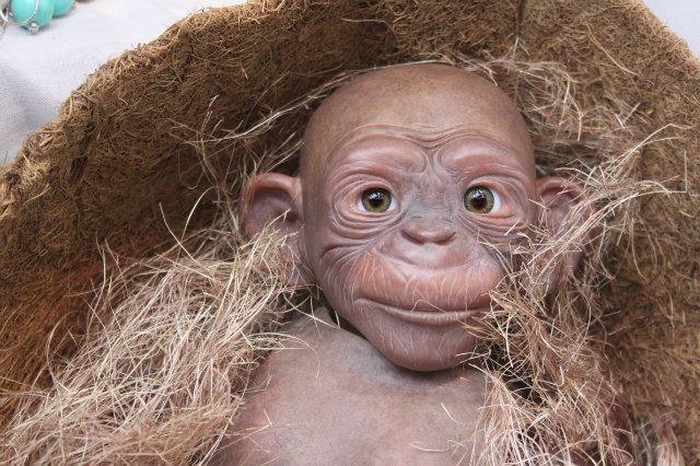 Гога, он же Гоша,он же Гора, он же Жора, здесь проживает? кукла реборн Элины Кудрявцевой (фото 3)