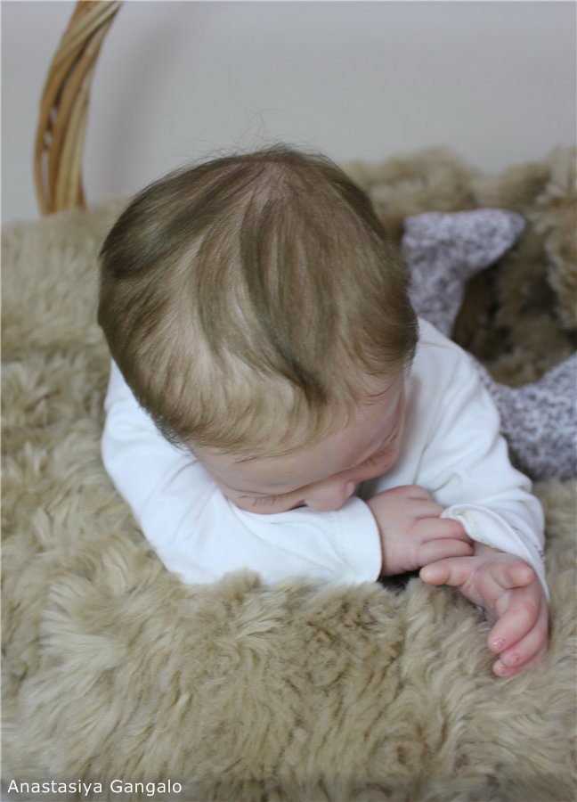 Мой прототип Josie Leigh, Джози Лью. Кукла реборн Анастасии Гангало