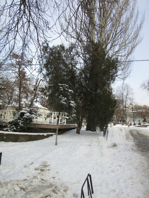 Чем бы заняться юному лорду 30 декабря