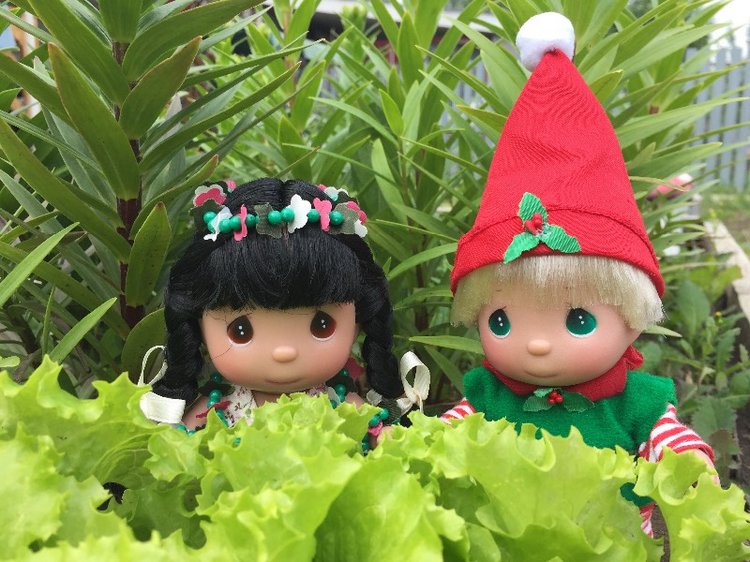 Наш Ягодный гномик узнает - что такое дружба (фото 3)