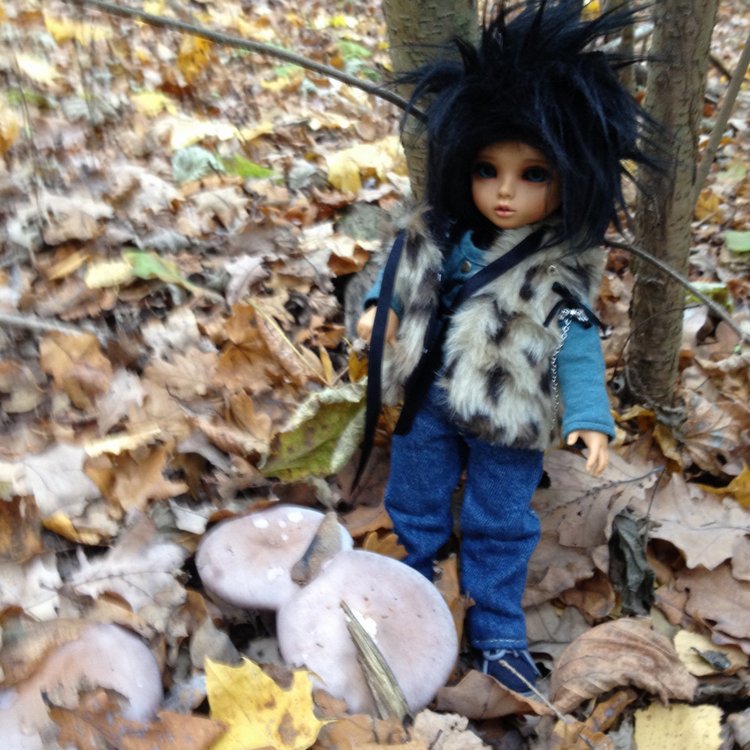 По делам и по грибам или одно другому не мешает (фото 2)