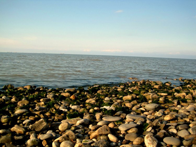 Путешествие к морю. Коллекционная кукла Фрося. Flori, Rolanda Heimer, Schildkrot (фото 7)