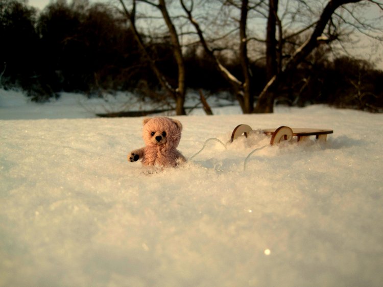 Мишкина зима! Авторский мишка Ольги Чернухо (фото 3)