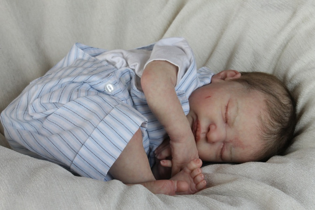 Сиренити от Екатерины Бойковой. Serenity Laura Lee Eagles