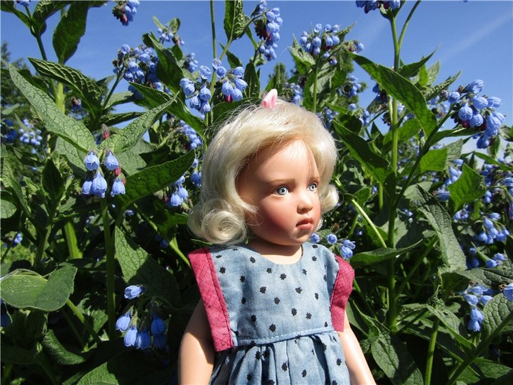 Сине-голубое настроение. Флора Helen Kish среди цветов в парке