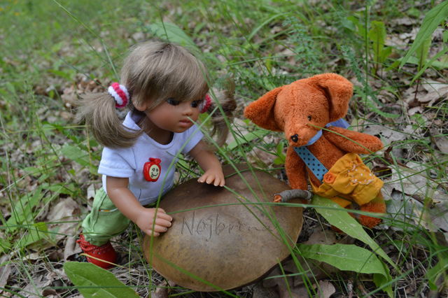 Самый маленький турист. Линда и Среда