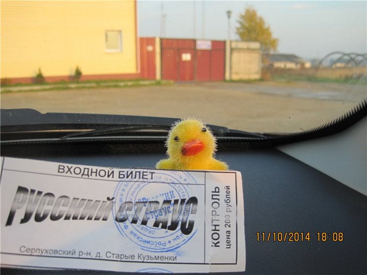 Дружок — Интересные игрушки и фигурки (разное): редкие (фото 4)