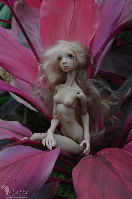 В Саду. Феникс, Лида Снуль