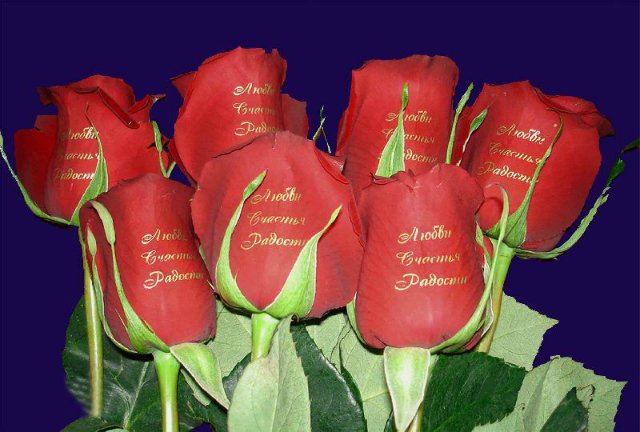 67 день года или Трубка пятнадцать, прицел сто двадцать. Предпраздничная болталка