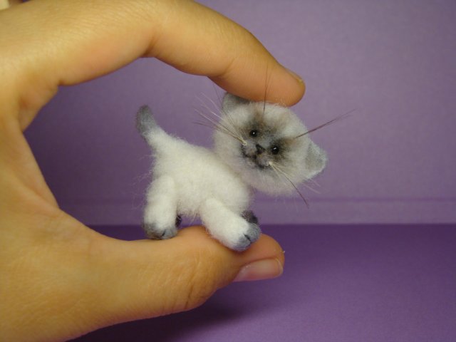 Котик. Авторская игрушка валянием из шерсти Ольги Чернухо (фото 9)